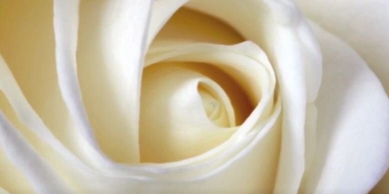 How IoT for Senior Care Promotes Autonomy and Social Inclusion